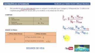 Seguros de vida  Ejercicio 1 [upl. by Naira]