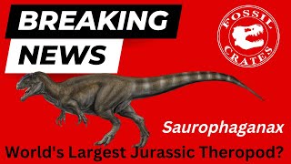 Saurophaganax  Largest Jurassic Theropod Dinosaur [upl. by Emirej]