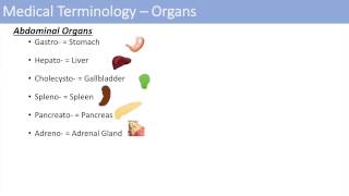 Medical Terminology  The Basics  Lesson 1 [upl. by Aleibarg]