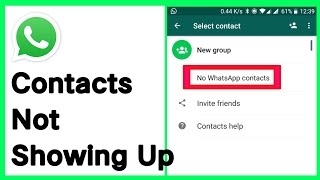 Whatsapp Contacts Not Showing Up  How To Fix No Contacts In Whatsapp [upl. by Koziel54]