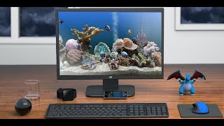 SereneScreen Marine Aquarium [upl. by Nidorf807]