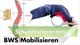 Brustwirbelsäule Mobilisieren  Schulterschmerzen amp Impingement Masterplan 2 [upl. by Godred535]