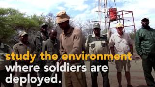 On the hunt US military vets join the fight against rhino poachers [upl. by Vida]