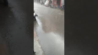 মুষলধারে বৃষ্টি হচ্ছে It is raining in torrents rain rainsounds raindelay shorts [upl. by Quartis]