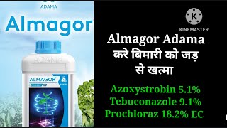 Almagor fungicide Adama agriculture Azoxystrobin 51 Tebuconazole 91Prochloraz 182 Ec [upl. by Rafiq]