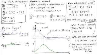 The SIR infectious disease model preliminary analysis [upl. by Eliott]