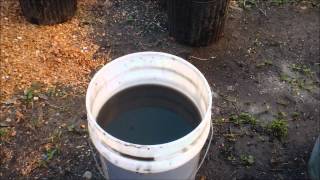 Making Manure Tea [upl. by Rosemonde]