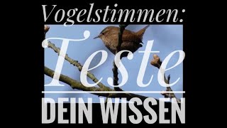 Vogelstimmen Teste dein Wissen [upl. by Suinuj]