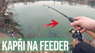 STAČÍ TAK MÁLO  zimní lov kapra na method feeder [upl. by Ahcire95]