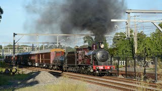 Steam to Surf with Locomotive 3265  10 March 2024 [upl. by Placido]