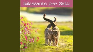 Rilassante per gatti [upl. by Nerag]