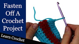 How to Finish a Crochet Project  Beginner Course Lesson 75 [upl. by Uda]