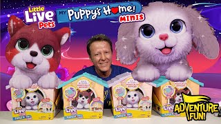 6 Little Live Pets My Puppy’s Home Minis Build Home amp Puppy Magically Arrives Toy Adventure Fun [upl. by Nnagrom]