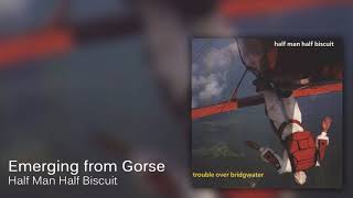 Half Man Half Biscuit  Emerging from Gorse Official Audio [upl. by Vander669]