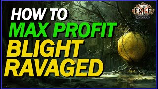 POE 325 How To Make The Best Profit From Blight Ravaged How I Approach Them For MAXIMUM VALUE [upl. by Elinad]