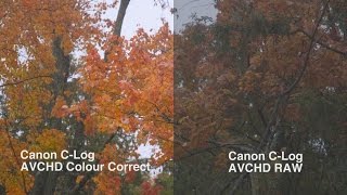 Canon C100 Mark 2 Clog Test Footage Ungraded vs Graded [upl. by Koh405]