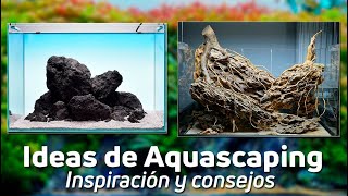 9 Formas de Transformar tu Acuario con Rocas  Ideas para tu Acuario [upl. by Gayner]