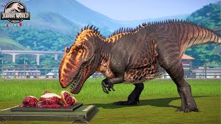 Mapusaurus vs Giganotosaurus Captain America SuperHero Dinosaurs Jurassic World Evolution [upl. by Llenyl]