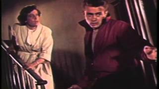 Rebel Without A Cause Trailer 1955 [upl. by Nosrak964]