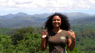 Travel with Maisha  Aberdare National Park [upl. by Ellenaj]