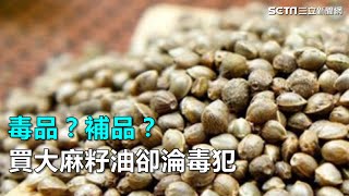 毒品？補品？ 買「大麻籽油」卻淪毒犯｜三立新聞網SETNcom [upl. by Langille]