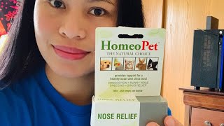 UPDATE DID IT WORK ON MY CAT NOSE ISSUES HOMEOPET NOSE RELIEF [upl. by Siramed45]