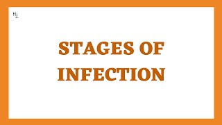 Stages of Infection or Disease in Microbiology Incubation prodromal Illness and Convalescence [upl. by Kieffer161]