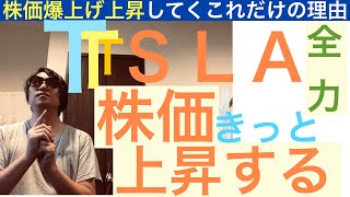 TSLAテスラ株価はきっと上昇する【全力】相場の急落は絶好の買い場となるチャンスだ！ [upl. by Odnumde681]