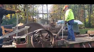 Historical Sawmill in Operation [upl. by Aronow604]