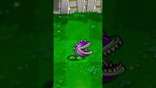 The Chomper Evolution  PVZ VS PVZ2 [upl. by Ynogoham]