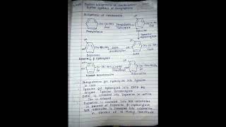 Biosynthesis of catecholamine and synthesis of phenylephrine shortvideo [upl. by Wilburt]