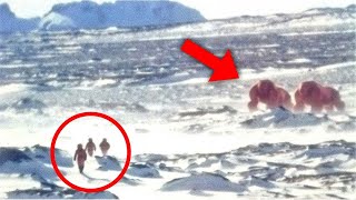 90 Year Old Footage From Beyond The Ice Wall of Antarctica SCARES The Entire World [upl. by Eicnan753]