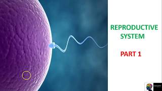 Reproductive System  ICSE class 10th BiologyPart 1 [upl. by Acinnod]