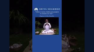 Utiliza tu mente para preparar tu morada en el cielo shivashambho espiritual concienciadeser [upl. by Iorgos938]