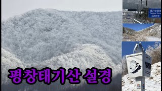 평창 태기산 설경 챗gpt초쌤 chatgpt chossaem 240210 [upl. by Parthena]