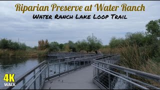 Water Ranch Loop 4K Walk Riparian Preserve at Water Ranch Gilbert Arizona [upl. by Anihta]