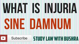 What is Injuria Sine Damnum I Kinds of Injuria I Law of Torts [upl. by Trinidad]