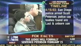 Mayor Wildes comments on Laci Peterson Case with Fox News [upl. by Itnava]