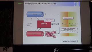 Its useful to monitor the microcirculation in shock Jacques Duranteau 2019 [upl. by Fitzhugh]