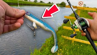 Canal Pike Fishing with WEEDLESS Lures [upl. by Yttocs]