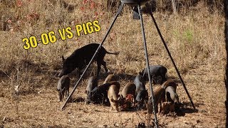 THANKSGIVING WEEK HUNT 3006 VS HOG [upl. by Eicyac980]