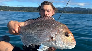 Softbaiting for big SNAPPER Kayakfishing New Zealand [upl. by Nylaf]