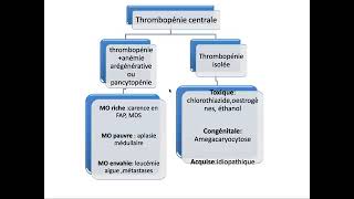 Hemato 09Hémostase primaire Purpura thrombopénique immunologique PTI Dr Abbadi [upl. by Loats188]