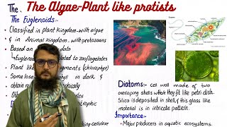 The algae plant like protists  class 11 [upl. by Yessak346]