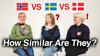 Can Nordic Countries Understand Each Other Danish Swedish Norwegian [upl. by Akeenahs]