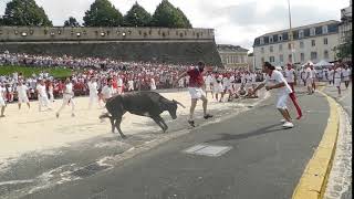 lionel dourron Tumade course de vaches bayonne 2018 [upl. by Kiran]