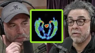 Freakonomics’ Stephen Dubner Asks Joe Rogan About CTE in Sports [upl. by Brabazon88]