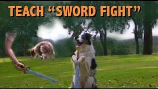 Sword Fighting For CANINE FREESTYLE  Dog Tricks Tutorial by KIKOPUP [upl. by Merrel192]