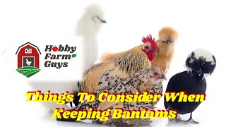 Bantam Chickens Special Considerations When Keeping Small Breeds [upl. by Koby]