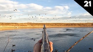 Hundreds Of Wigeon In The Decoys Texas Duck Hunting 2023 [upl. by Carmelo]